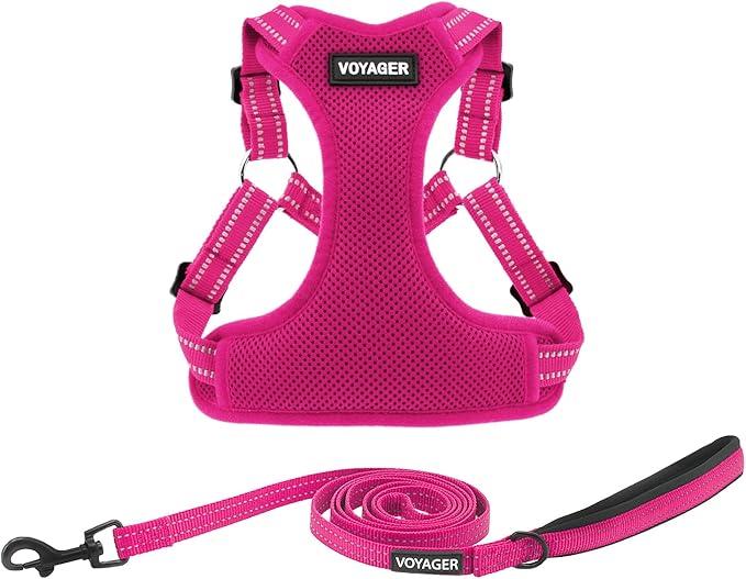 Best Pet Supplies Voyager Adjustable Dog Harness Leash Set with Reflective Stripes for Walking Heavy-Duty Full Body No Pull Vest with Leash D-Ring, Breathable All-Weather - Harness (Fuchsia), L