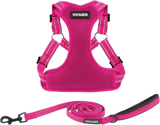 Best Pet Supplies Voyager Adjustable Dog Harness Leash Set with Reflective Stripes for Walking Heavy-Duty Full Body No Pull Vest with Leash D-Ring, Breathable All-Weather - Harness (Fuchsia), L