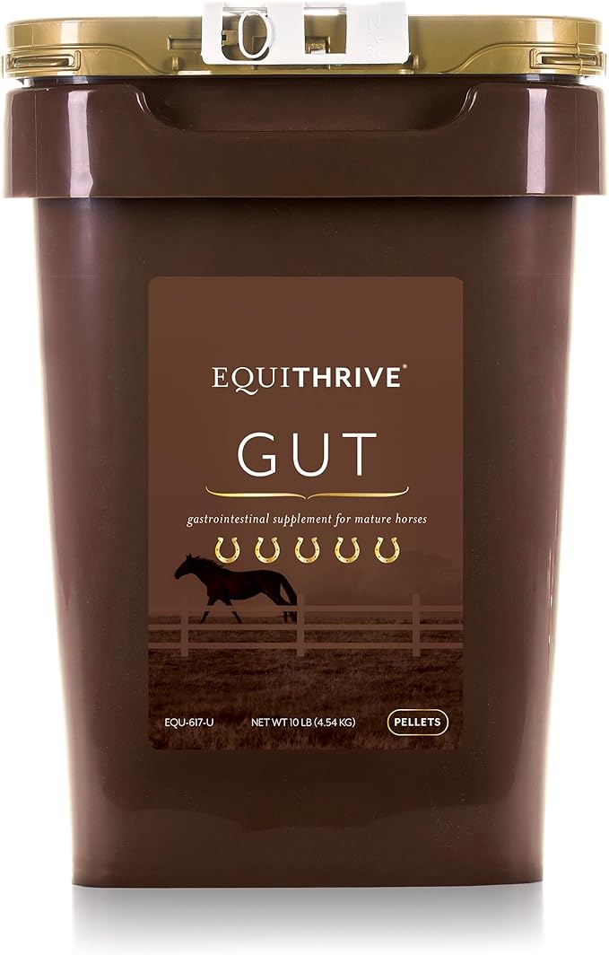 Equithrive Horse Gut Pellets with Probiotics, Psyllium Husk Powder, Sodium Bicarbonate and Omega 3 Fatty Acids, Digestive Support Supplement for Horses, 10 lbs