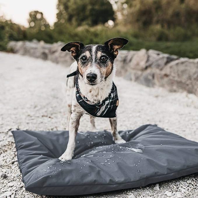 Dog bed covers for 36" L × 27" W × 3" H 600D Oxford Waterproof Dog Bed Cover with Zipper and Carry Handle dog bed covers replacement washable, Cover Only (Gray)