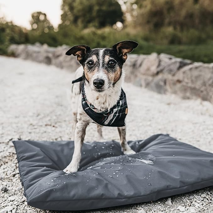 Waterproof dog bed cover. (53 L x 42 W x 5 H inches) Washable removable orthopedic, cooling gel and memory foam pet bed protector cover. Cover only. (Gray)