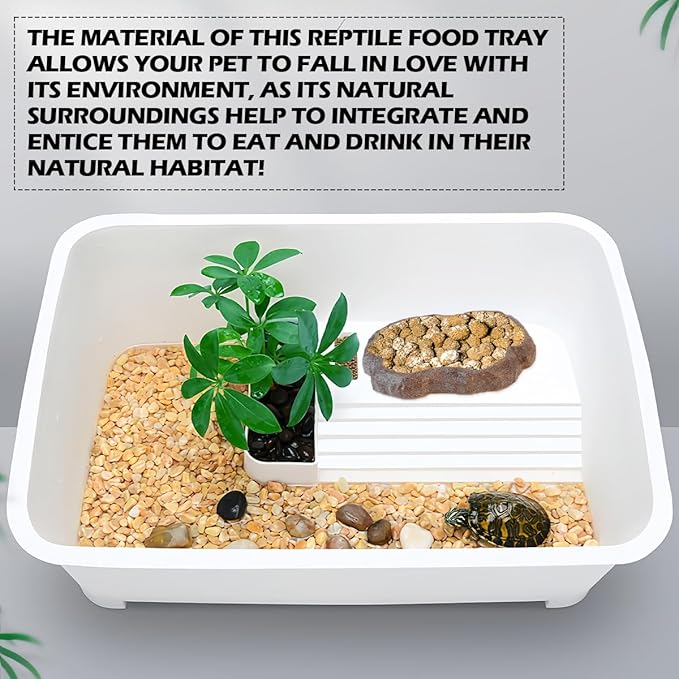 Reptile Water Dish Bowl Resin Rock Reptile Food and Water Feeder Pet Terrarium Plate for Tortoise Lizard (Brown) (Small)