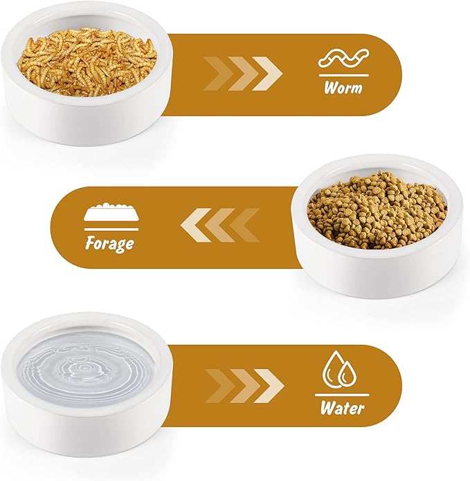 Reptile Food Bowl Dish - Worm Dish Reptile Water Bowl Lizard Gecko Ceramic Pet Bowls, Mealworms Dish for Bearded Dragon Chameleon Hermit Crab Dubia Cricket Dish Anti-Escape Mini Reptile Feeder XL(5in)