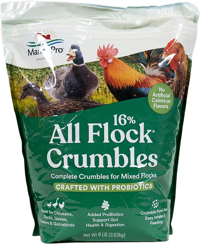 Manna Pro All Flock Crumbles | 16% Protein Level | Complete Feed for Chickens, Ducks, Geese, Turkeys and Gamebirds | Probiotics to Support Digestion | Crumbled Form for Easy Feeding | 8 Pounds