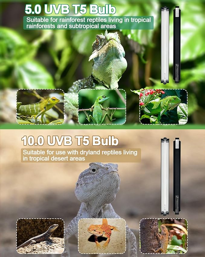 T5 UVB Reptile Light Kit, 39W T5 Reptile Light Fixture with UVB 5.0 Bulb, 35in Terrarium Hood Light Fixture, Ideal for Rainforest Reptiles, Such as Chameleons, Tree Frogs, and Geckos