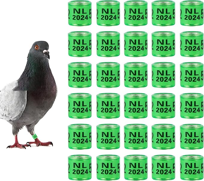 50Pcs Multicolor Aluminium Pigeon Leg Rings with 2024 NL Training Identify Birds Foot Ring Identify 8mm Plastic Bird Leg Bands (Green)