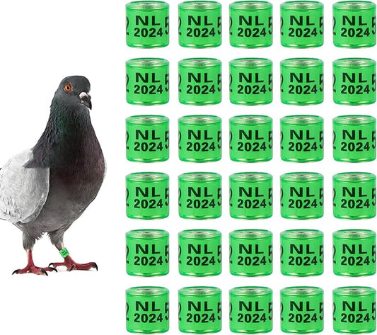 50Pcs Multicolor Aluminium Pigeon Leg Rings with 2024 NL Training Identify Birds Foot Ring Identify 8mm Plastic Bird Leg Bands (Green)