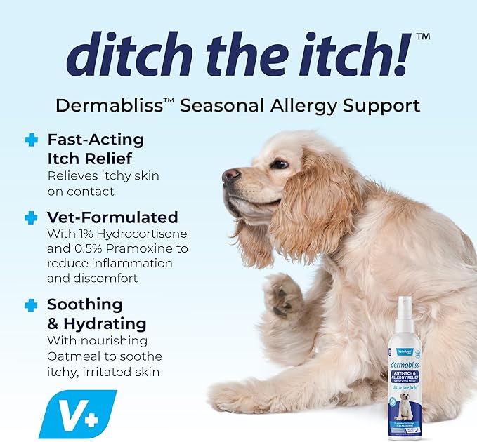 Vetnique Dermabliss Anti Itch Spray for Dogs & Cats with Hydrocortisone for Allergies and Immediate Dog Itching Skin Relief - Fragrance Free with Soothing Oat Extract (8oz Anti Itch Spray)