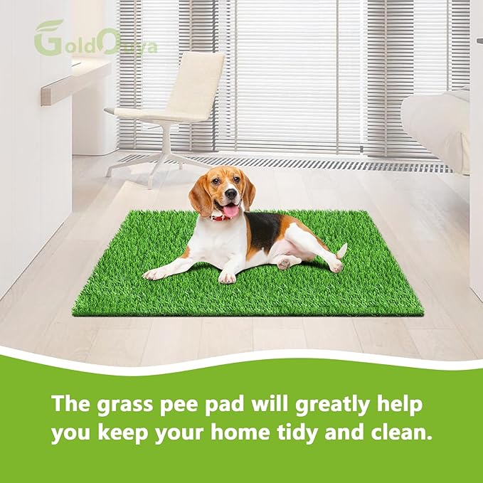 Dog Grass Pee Pad, 33.5 x 21.3Inch Artificial Grass for Dogs Reusable for Dog Potty Training, Dog Grass Pad with Drainage Holes for Indoor/Outdoor (1 Pack)