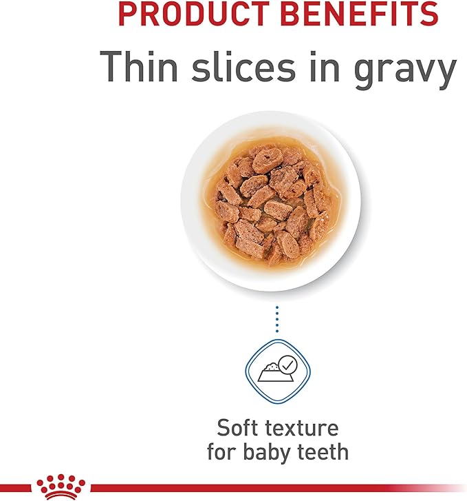 Royal Canin Size Health Nutrition Small Puppy Thin Slices in Gravy Wet Dog Food, 5.1 oz 24-Pack