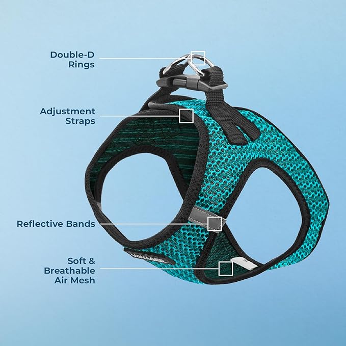 Voyager Step-in Air Dog Harness - All Weather Mesh Step in Vest Harness for Small and Medium Dogs and Cats by Best Pet Supplies - Harness (Turquoise 2-Tone), XL (Chest: 20.5-23")