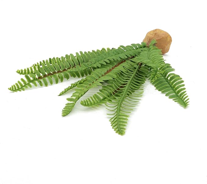 Fake Fern Plants, Reptile Plastic Terrarium Decor, Reptiles Amphibians Tank Accessories for Crested Gecko Leopard Lizard Chameleon (Fern-M)