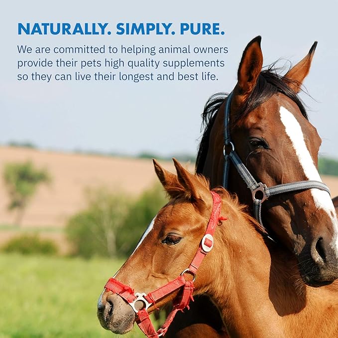 HealthyGut Foal Kit for Horses Dietary Supplement, All-Natural Formula (14 g)