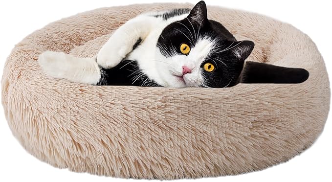 Aurako Cat Bed Dog Bed Round Cushion Pet Bed Mat Ultra Soft Plush Donut Sofa Comfortable Pillow Machine Washable Pet Cuddle Beds for Kitten Small Medium Large Dogs Cats 20" Yellow