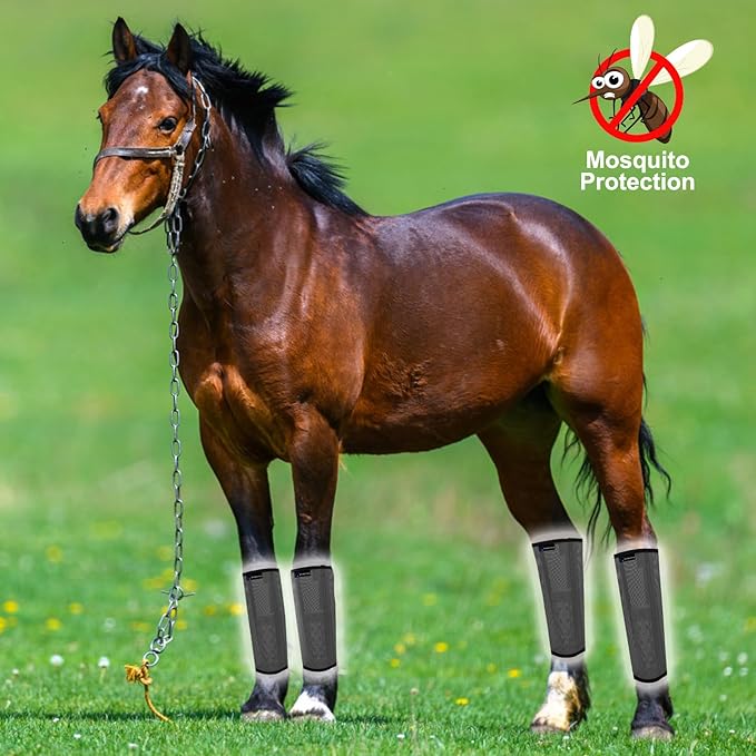 Horse Fly Boots, Adjustable Fly Boots for Horses Set of 4, Comfortable Horse Leggings, Breathable Plastic Mesh Material, Horse Supplies for Reduces Stress & Leg Fatigue (Dark Gray)