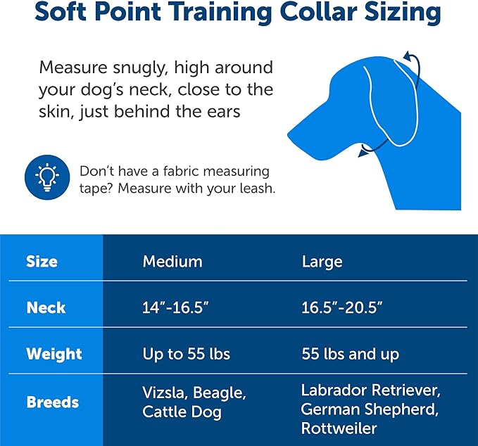 PetSafe Soft Point Training Collar - Helps Stop Pulling - Safer Than Prong or Choke Collars - Teaches Better Leash Manners - No Pull Training Collar with Rubber Points for Dogs - Large, Blue