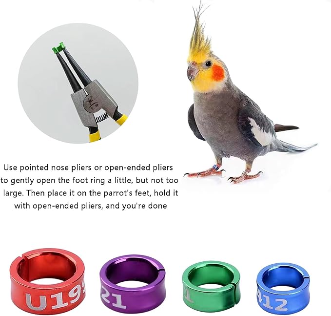 80 Pcs Open Ring Bird Leg Bands,Ultra Lightweight Aluminum Bird Recognition Foot Rings for Parrots,Hibiscus Birds,Peonies,Pigeons,Quails,Rutin Chickens etc (ID:7MM)