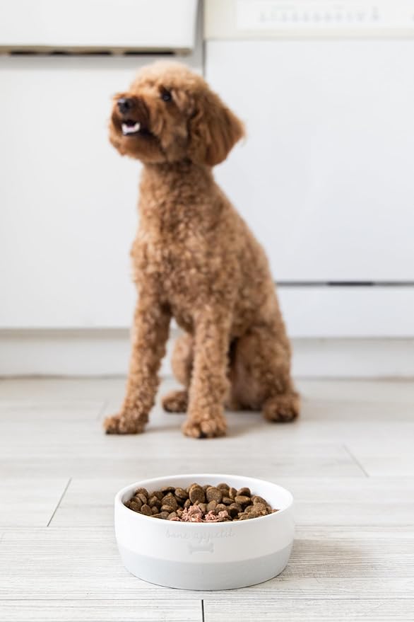 Pearhead Bone Appetit Ceramic Dog Bowl, Medium Food Or Water Bowl, Pet Dish, Microwave and Dishwasher Safe, Pet Owner Essentials, Holds 2 Cups