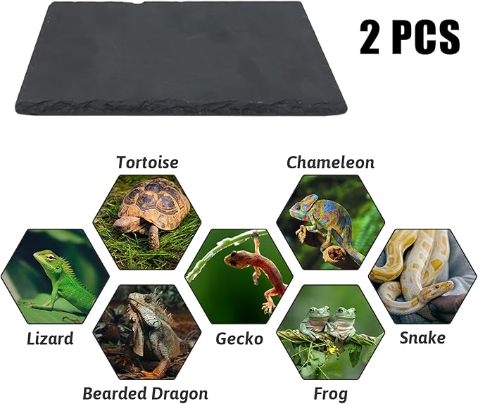 Reptile Basking Platform 2 Pcs Tortoise Rock Plate Natural Turtle Food Bowl Dish 11.81 x 7.87 inch Feeding Slate Rock for Lizard Tortoise Bearded Dragon Chameleon Gecko Frog Snake