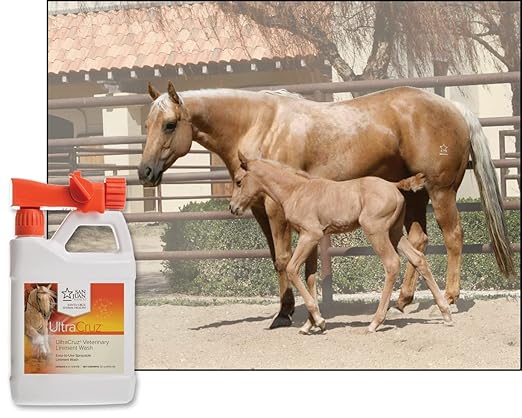 UltraCruz Veterinary Liniment Wash for Horses, 32 oz with Travel Spray