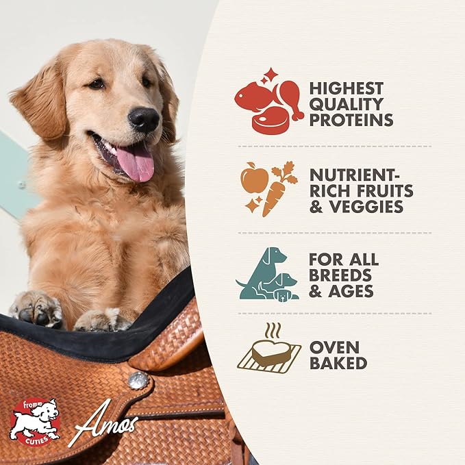 Fromm Four-Star Nutritionals Dog Treat Variety Pack - Premium Dog Snack Sample Pack (Chicken, Lamb, Parmesan, Salmon) - Pack of (4) 8 oz Bags