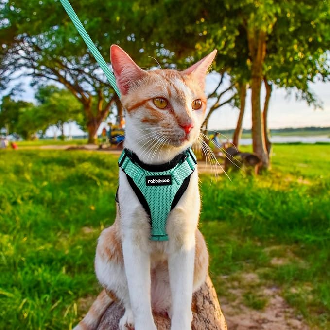 rabbitgoo Cat Harness and Leash for Walking, Escape Proof Soft Adjustable Vest Harnesses for Cats, Easy Control Breathable Reflective Strips Jacket, Emerald, XXS