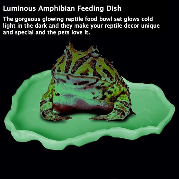 Tfwadmx Reptile Food and Water Bowl Set Luminous Bearded Dragon Dishes Tortoise Feeder Lizard Habitat Large and Small Amphibian Feeding Plates Terrarium DéCor for Turtle Gecko Snake Tegu Iguana 2 Pcs