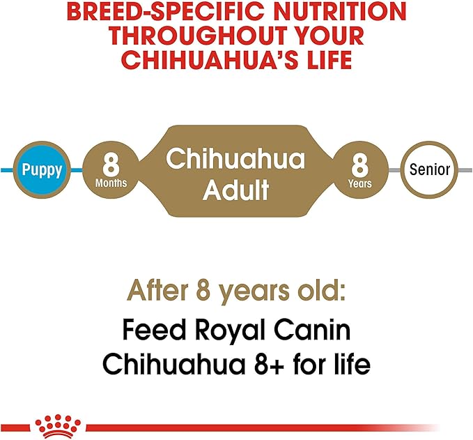 Royal Canin Chihuahua Adult Dry Dog Food, 2.5 lb bag