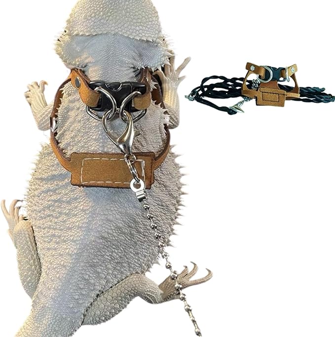 Bearded Dragon Harness and Leash Adjustable(M,L,XL) - Soft Leather Reptile Lizard Leash Accessories for Bearded Dragon, Lizard and Other Small Pets (M)