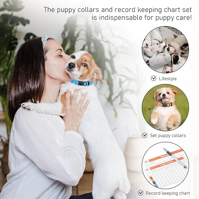 GAMUDA Small Pet Collars, Super Soft Nylon Puppy Collars, Adjustable Breakaway Litter Collars Pups, Assorted Colors Plain Whelping, Identification Collars with 2 Record Keeping Charts, Set of 12 (M)