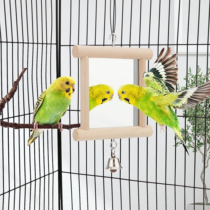 Hypeety Pet Bird Mirror with Bell Interactive Parrot Toy for Parrot Macaw African Greys Budgies Cockatoo Parakeet Cockatiels Conure Lovebird Cage Bells Mirror (C)