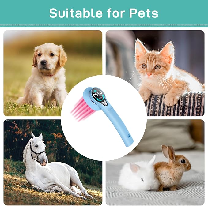 Cold Laser Therapy for Dogs - 2024 Upgraded Infrared Red Light Therapy Vet Device, Portable Laser Therapy Device for Pain Relief Arthritis, Spinal, Promote Blood Circulation (Blue)