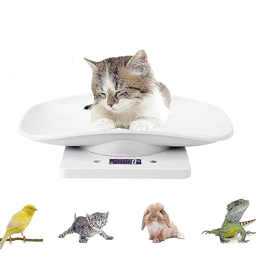 Digital Pet Scale,Small Animal Scale with LCD Display,Multifunction Kitchen Food Scale,Grams Weight Max 22 lbs for Hamster Tortoise Lizard Little Bird, White, (B434F704M1466JLEETB)