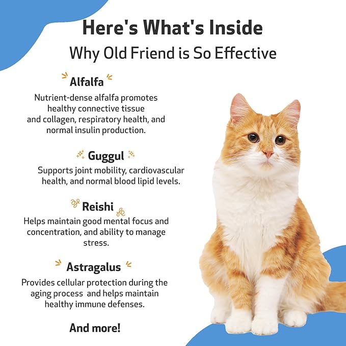 Pet Wellbeing Old Friend for Senior Cats - Vet-Formulated - Aging Immune System & Joint Mobility Support in Older Felines - Natural Herbal Supplement 2 oz (59 ml)