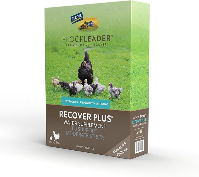Recover Plus Moderate Stress Probiotic Water Supplement for Chickens with Electrolytes & Oregano, 8 oz