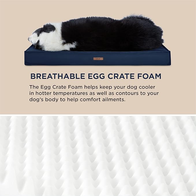 Lesure XXL Waterproof Dog Beds - Outdoor Dog Bed Washable with Oxford Fabric Surface, Extra Large Egg Orthopedic Foam Pet Bed with Removable and Durable Cover, Machine Washable