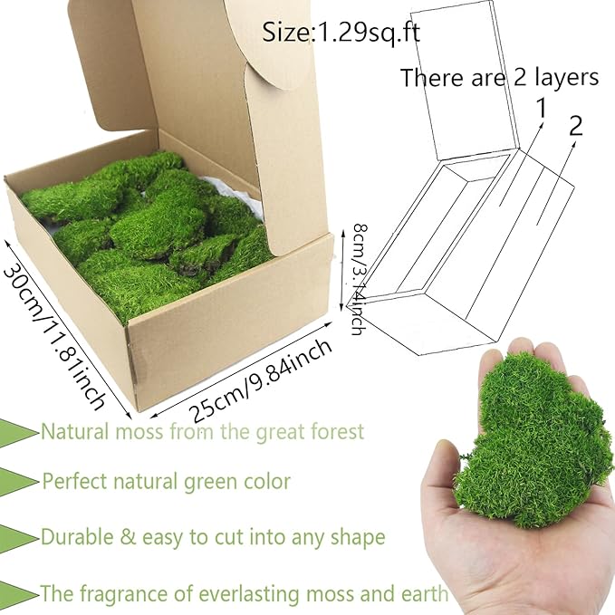 FAICOIA Preserved Pillow Moss Bulk Green Moss Balls for Bowls Natural Green Decorative 1.29 sq.ft Preserved Pole Moss Pillow for Wall Art Terrariums Crafts Fairy Gardens Pot Plants Easter Table Decor