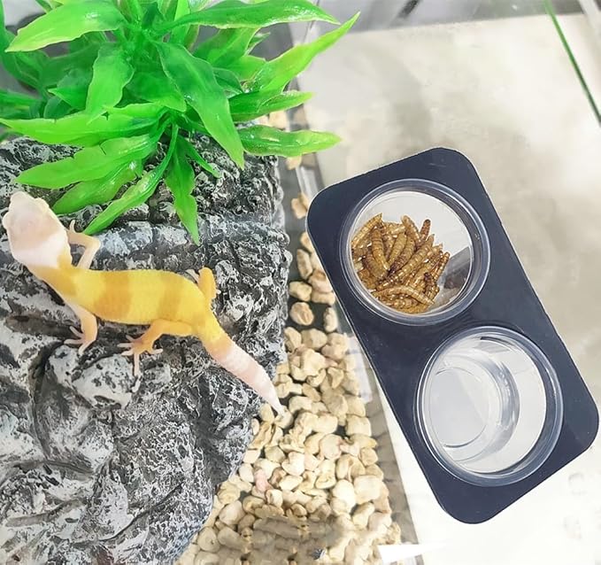 0.5oz 500 Cups + Feeding Ledge [Non-Suction Cup], Reptile Amphibian Food Bowls and Water Dish for Crested Gecko, Lizard Or Other Small Pet Feeder Ledge Accessories Supplies