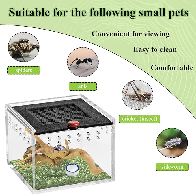 Acrylic Jumping Spider Enclosure,Spider Terrarium with Sunken Wood and Sod,Spider Box with Water Bowl Arboreal Tarantula Enclosure Jumping Spider Habitat for Spiders and Small Insects