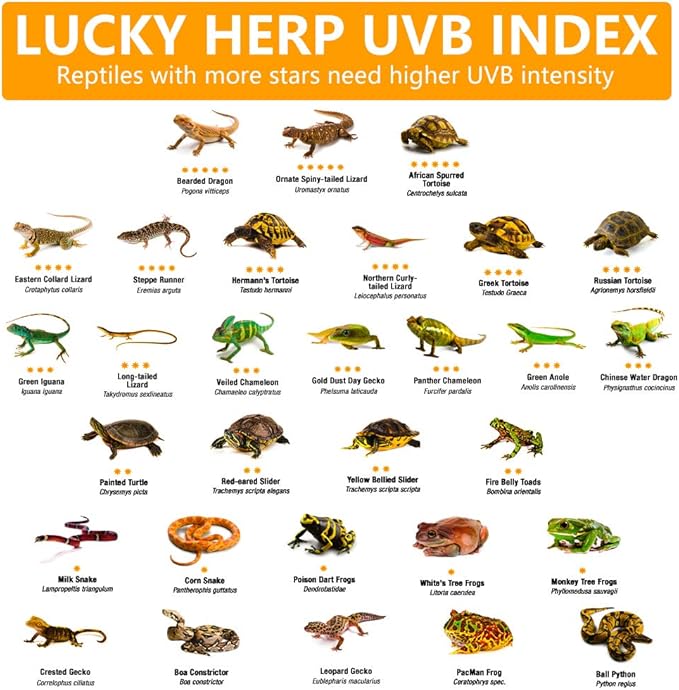 LUCKY HERP 100 Watt UVA+UVB Full Spectrum Vapor Heat Lamp Bulb, High Intensity Self-Ballasted Heat Basking Lamp/Bulb/Light for Reptile and Amphibian, Sun Lamp for Bearded Dragon Lizard Turtle(Clear)