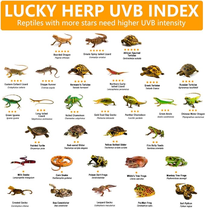 LUCKY HERP 100 Watt UVA UVB Full Spectrum Vapor Heat Lamp Bulb, Self-Ballasted UV Heat Lamp/Bulb/Light for Reptile and Amphibian, Sun Lamp for Bearded Dragon Lizard Turtle(Coated)