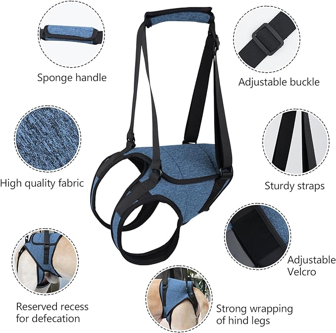 Dotoner Dog Sling for Large Dogs Hind Leg Support to Help Rehabilitate The Hind Limbs of Elderly Dogs with Weak Hind Legs Disabilities and Injuries Dog Harness Helps Arthritis ACL Recovery（M,Blue）