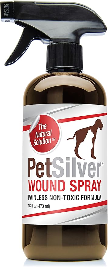 PetSilver Wound & Skin Spray with Patented Chelated Silver, Allergy Relief for Dogs Itching, Hot Spot Treatment for Dogs, Cat and Dog Wound Care, Natural Skin Soother for Dogs, USA, 16 fl. oz.