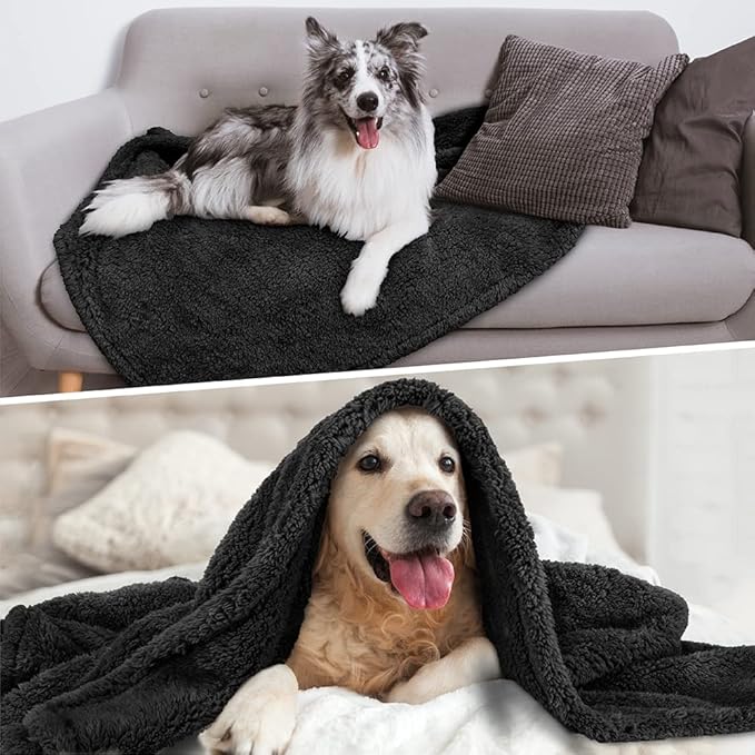 PetAmi Fluffy Waterproof Dog Blanket for Bed Large Dogs, Soft Warm Pet Sherpa Throw Pee Proof Couch Cover, Reversible Cat Blanket Sofa Crate Kennel Protector, Washable Mat Queen (Black, 90x90)