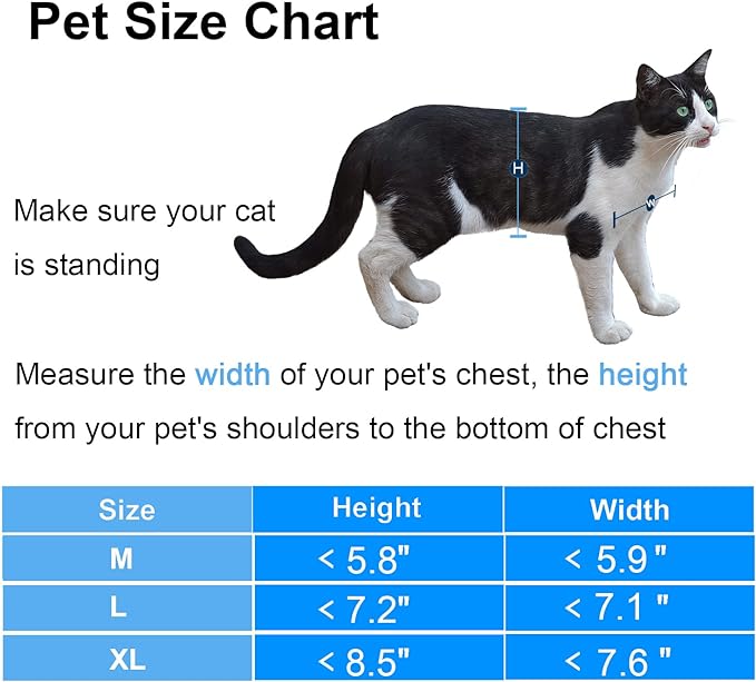 CEESC Cat Doors, Magnetic Pet Door with Rotary 4 Way Lock for Cats, Kitties and Kittens (Medium, Black)