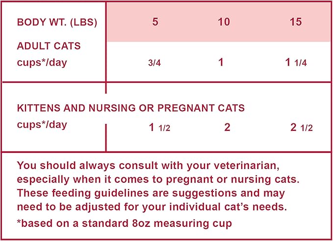 smallbatch Pets Cat Freeze Dried Meal Bites, Premium Raw Cat Food, Beef Recipe, 10 oz, Humanely Sourced Meat and Made in The USA