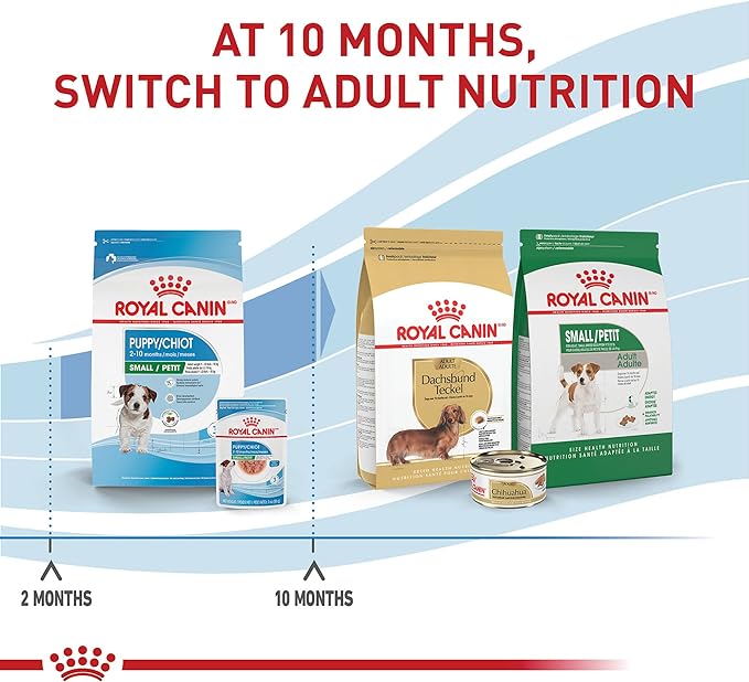 Royal Canin Size Health Nutrition Small Puppy Chunks in Gravy Wet Dog Food, 3 oz pouch (12-count)