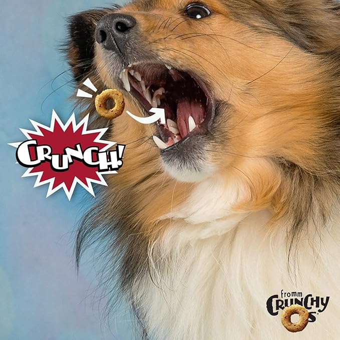 Fromm Crunchy Os Pot Roast Punchers Dog Treats - Premium Crunchy Dog Treats - Beef Recipe - 6 oz