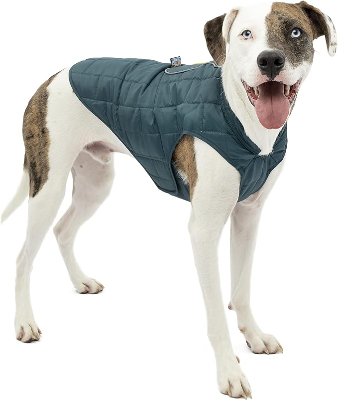 Kurgo Loft Dog Jacket, Reversible Dog Coat, Wear with Harness or Sweater, Water Resistant, Reflective, Winter Coat for Medium Dogs (Ink Blue, M)