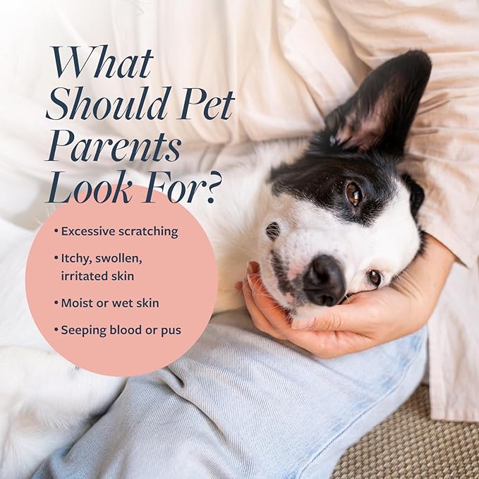 Vet's Best Healthy Coat Shed & Itch Relief Dog Supplements & Veterinary Formula Clinical Care Hot Spot & Itch Relief Medicated Spray, 8oz